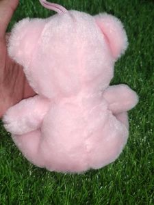 Sweet Mini Teddy