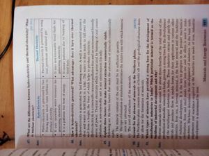 Class 10 Social Science Book
