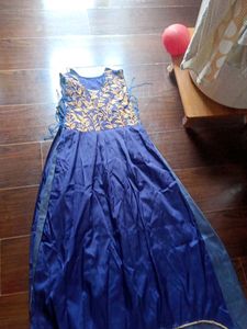 Elegant Blue Embroidered Dress