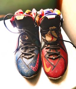 Nike LeBron