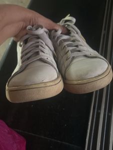 Addidas White Sneakers.