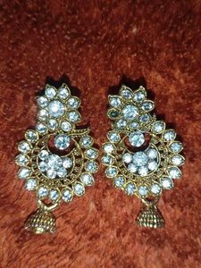 Elegant Stone Earrings