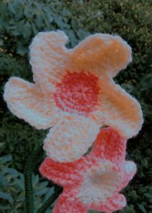 Handmade Crochet Flower Pot