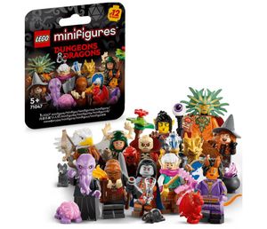 LEGO Minifigures Dungeons &amp; Dragons Blind Bag