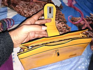 Beautiful Sling Bag
