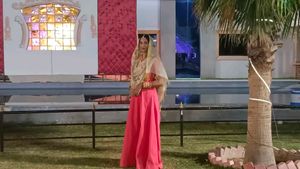 Gown Without Dupata