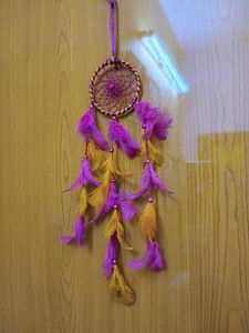 Dual Colour Dream Catcher