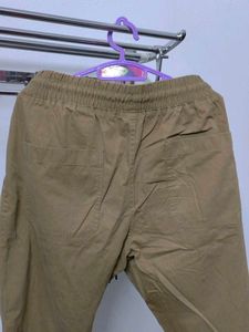 Brown Casual Joggers