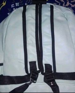 Stylish Mint Green Backpack