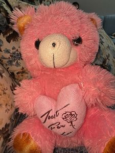 Baby Pink Teddy Bear