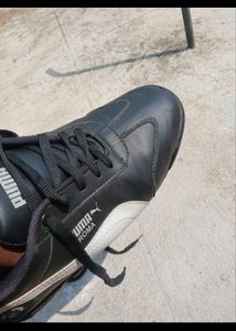 Puma Roma BMW 1st Copy