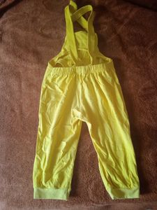 Tweety Dungri