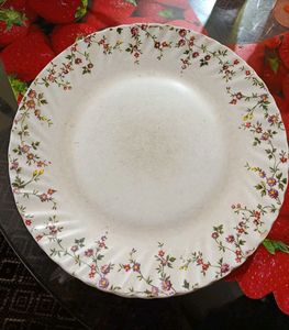 Dinner Plate 5 Pieces