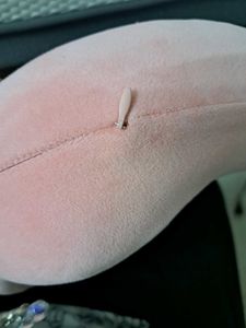 Miniso Memory Foam Neck Pillow
