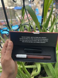 Colorbar Matte Me As I Am Lipstick