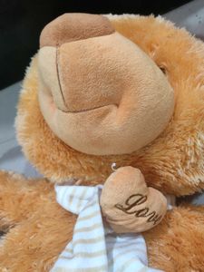 Cute Teddy - Giant Baby 🧸