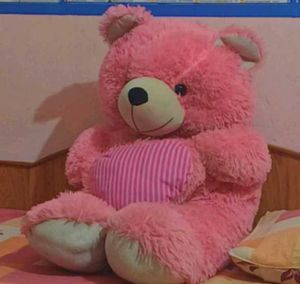 Pink Teddy