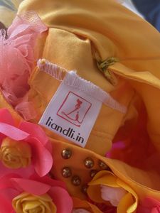Net Embellished Fluffy Yellow Orange Dress
