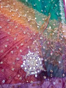 Embroidered Saare