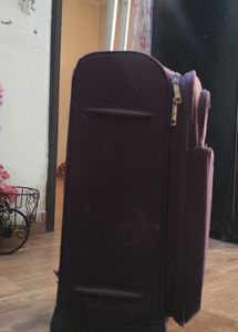 American Tourister Purple Medium Trolley Suitcase