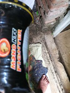 Monokite Fighter Golden Chip