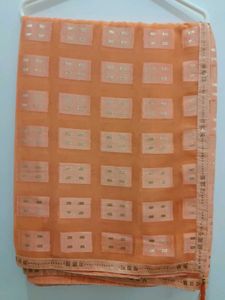 Peach Georgette Saree with Silver Accents
