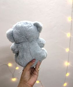 Plush Teddy Bear