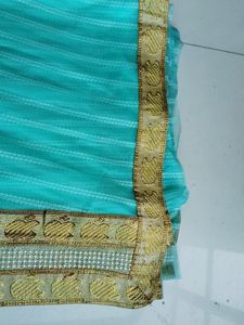 Festive Saree In Cyon Colour
