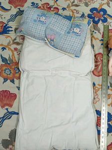 Baby Sleeping cum carry Bag  (0-5 months)