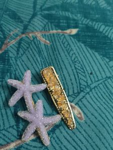 Hair Clip Set