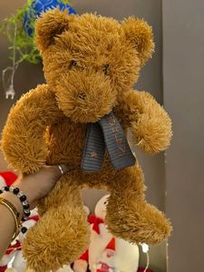 Cute Brown Teddy Bear