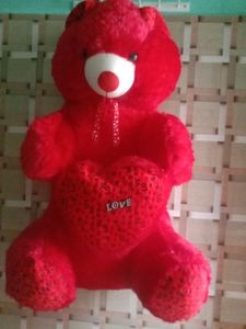 Taddy Bear