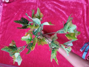 Green Leaf Bunch