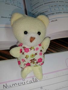 Cute Floral Dress Teddy Bear Keychain