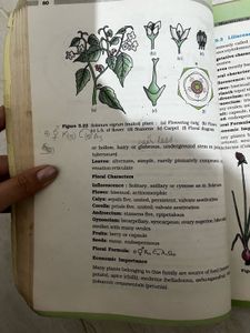 Important Marked NCERT Biology