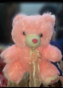 Pink Teddy Bear