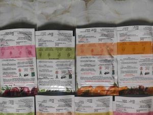 Variety Pack of Face Masks