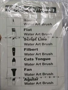 Professional Paint Brush Set