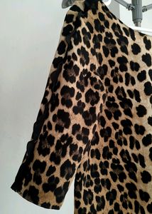 Zara Tan And Black Blouse
