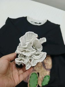 Cute Bear Graphic Sweatshirt