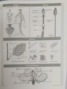Practical Book