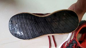 Adidas Shoes