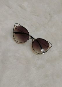 Cat EyenDouble Layered Frame Sunglass