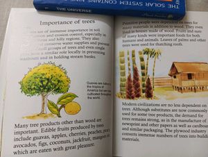 Junior Encyclopedia