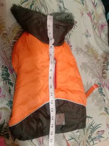 dog&#39;s Jacket