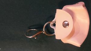 Zudio Mini Handbag Keychain