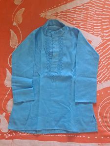 Sky Blue Embroidered Kurta