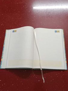 LIC 2020 Diary