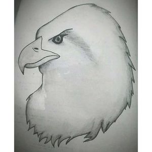 Eagle Face Sketch