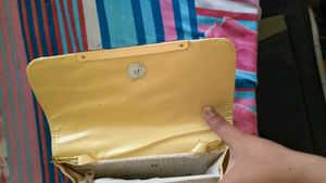 Elegant Clutch with Chain Strap